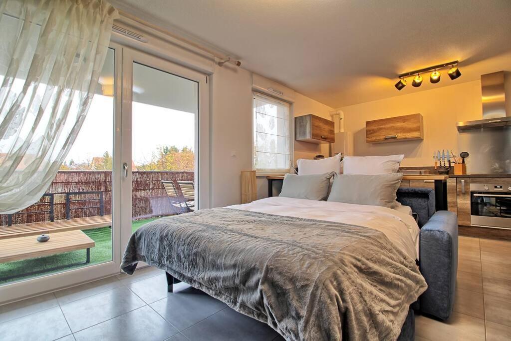 Appartement - Note Boisee - Terrasse & Parking Sélestat Екстериор снимка