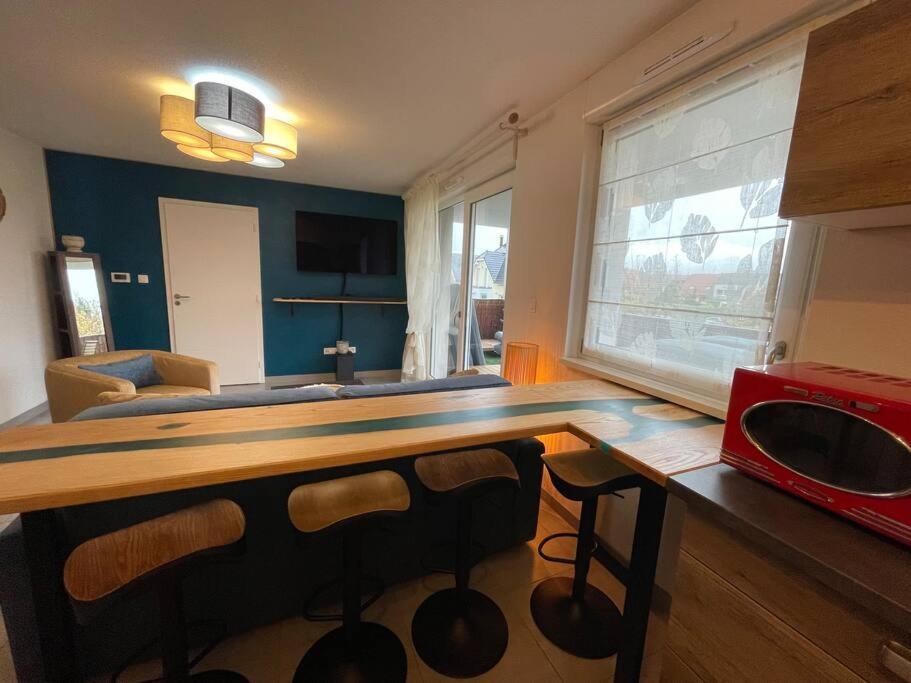 Appartement - Note Boisee - Terrasse & Parking Sélestat Екстериор снимка