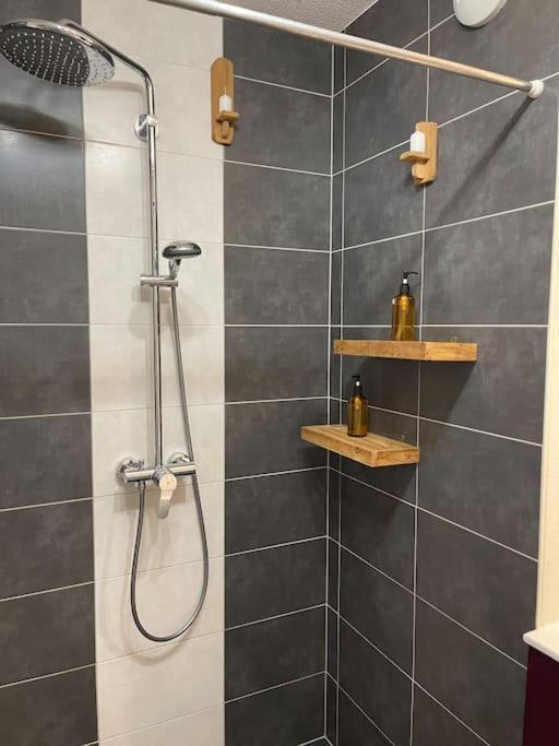 Appartement - Note Boisee - Terrasse & Parking Sélestat Екстериор снимка
